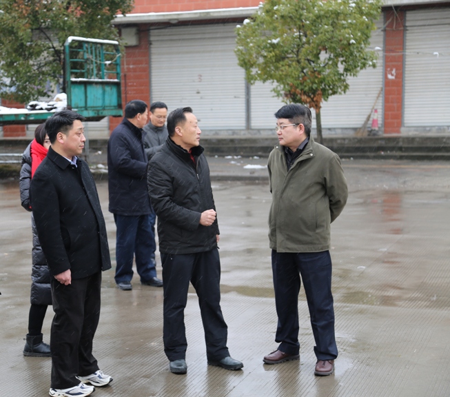 劉大群常務(wù)副市長冒雪視察港華路加氣站